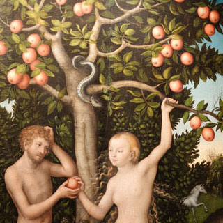 Paradiesbaum Paradiesbaum